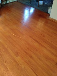 20201009_153643.jpg