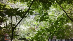 11F8558F-A716-4E1E-8EA1-8C3B94CDBD79.jpeg