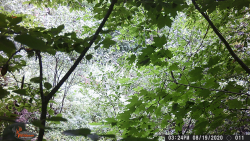 0E577DA0-4868-4BC0-B18E-D7D3229B6702.png