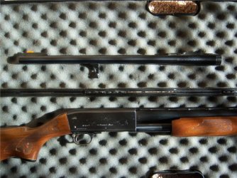 Ithaca 37 Alex 2.jpg