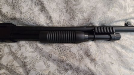 sxp3.jpg