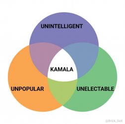 venn.jpeg