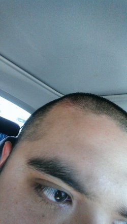 head.jpg