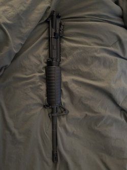 IMG_3752.jpeg