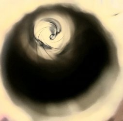 20250421_171050.jpg