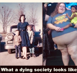 1771497041428.png
