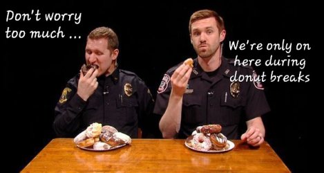 d44ac59db11c54ffa78d6eff36fdd677--cops-donuts.jpg