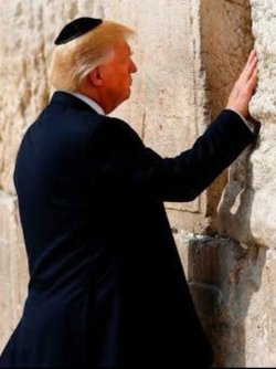 X TRUMP WALL.jpg