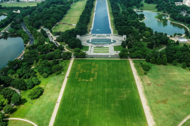 Screenshot 2026-06-13 at 14-42-36 National Mall Grass Vandalized with ’86 47’ Stains - The New...png