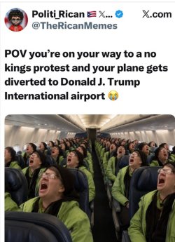 1783768197537.jpeg