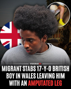 1784205147302.png