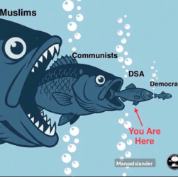 1784375428747.png