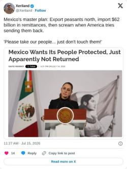 1784463447485.png