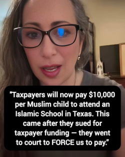1784631268806.png