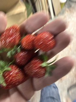IMG_3951.jpeg