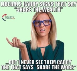 liberals-carry-signs-that-say-share-the-wealth-but-never-share-the-work.jpg