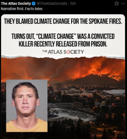 1786104035915.png