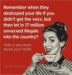 1786220311877.png
