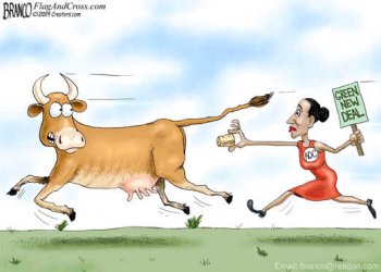1786244149464.jpeg
