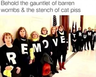 1786244351304.jpeg