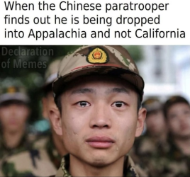1786704033655.png