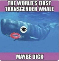 1786795146191.png