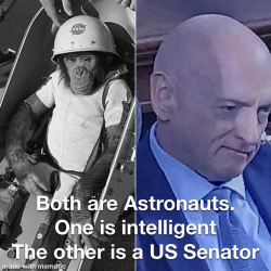 1786898519229.png