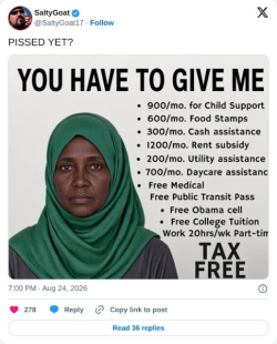 1787737726631.png