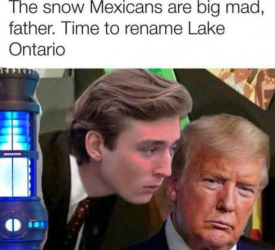 1787882215877.png