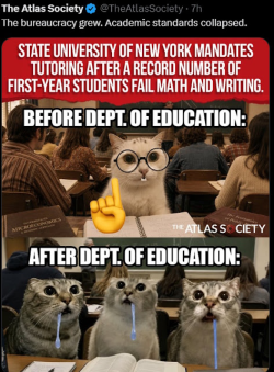 1787997850520.png