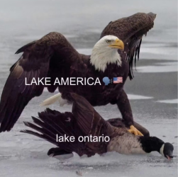 1788009030061.png