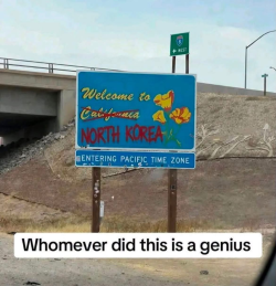 1788009084874.png