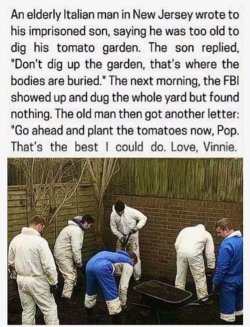 IMG_6489.jpeg