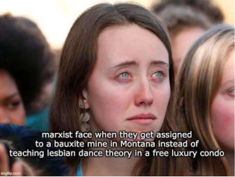1793024339836.png