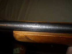 glenfield 25 (1).jpg