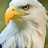 eagleridge357