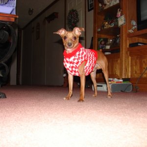 Pachino_Sweater