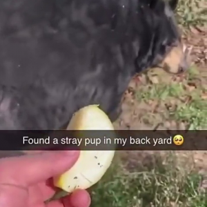 yrk9cm.mp4