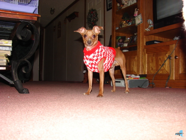 Pachino_Sweater